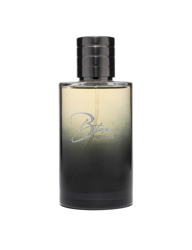 0-Q-53 SILVER MOUNTAIN WATER EDP